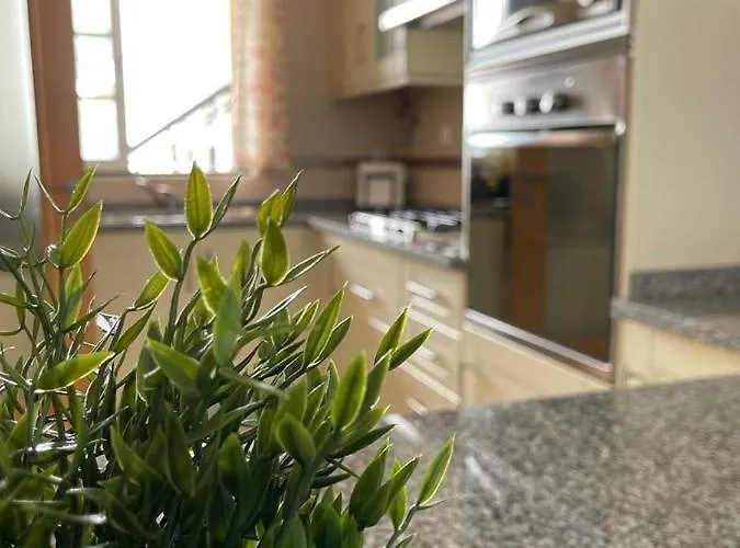 Vitamin Sea Vilamoura